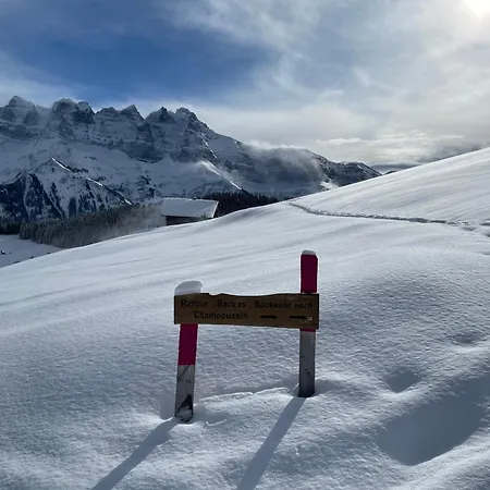 Hotel Montriond - Bike & 3*