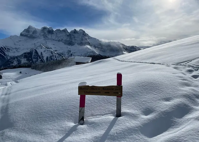 Hotel Montriond - Bike & 3*