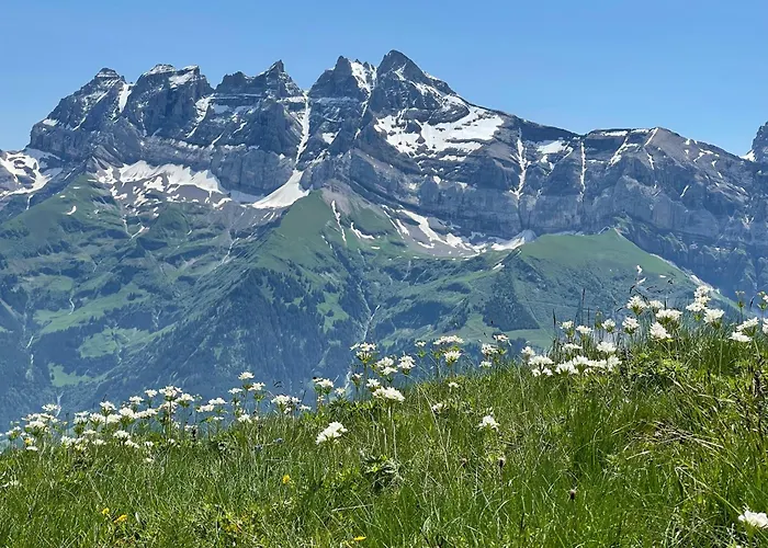 Montriond - Bike &