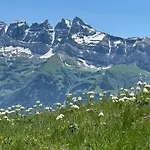 Montriond - Bike &