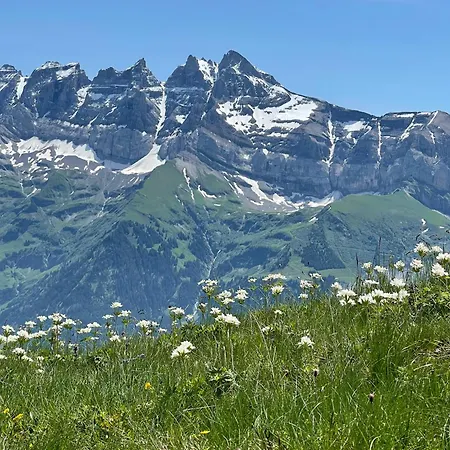 Montriond - Bike &